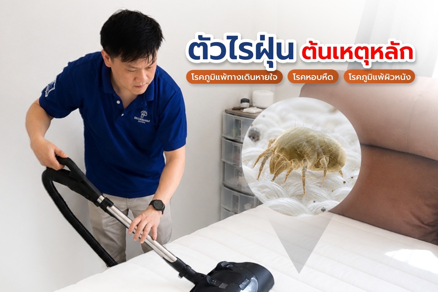 บริการทำความสะอาดและกำจัดไรฝุ่น